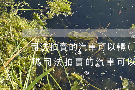司法拍賣的汽車可以轉(zhuǎn)牌照嗎(司法拍賣的汽車可以轉(zhuǎn)牌照嗎)