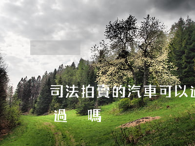 司法拍賣的汽車可以過戶嗎(法院拍賣的車能過戶嗎)
