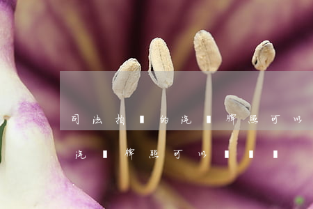 司法拍賣的汽車牌照可以過戶嗎(司法拍賣的汽車牌照可以過戶嗎)