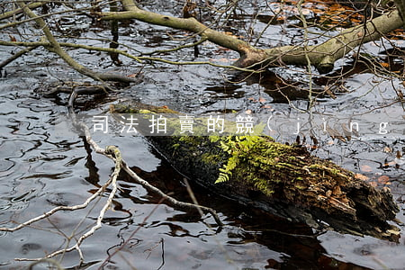 司法拍賣的競(jìng)拍流程