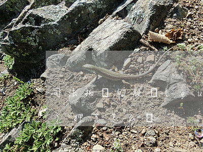 司法拍賣的股權(quán)被質(zhì)押了怎么辦