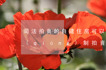 司法拍賣的自建住房可以過戶嗎(法院可以強(qiáng)制拍賣房子嗎)