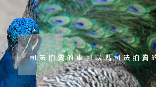司法拍賣的車可以嗎(司法拍賣的車帶車牌嗎)