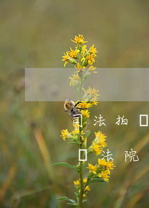司法拍賣的車可以轉(zhuǎn)給別人嗎(法院的車怎么拍賣)