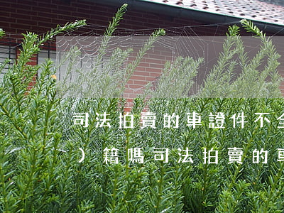 司法拍賣的車證件不全可以轉(zhuǎn)籍嗎(司法拍賣的車證件不全可以轉(zhuǎn)籍嗎)