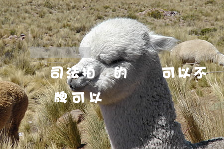 司法拍賣的車輛可以不過戶嗎(司法拍賣的車牌可以過戶嗎)