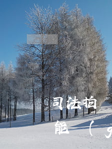 司法拍賣車可以上牌嗎(司法拍賣的汽車車牌能過(guò)戶么)