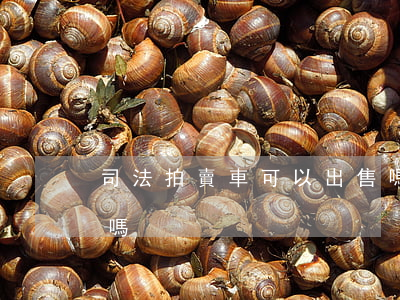 司法拍賣車可以出售嗎(司法拍賣的車能過戶嗎)