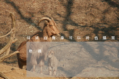 司法拍賣車可以跨省購買嗎(司法拍賣車輛異地過戶)