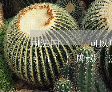 司法拍賣車輛可以申請(qǐng)臨時(shí)牌照嗎(法院拍賣車上牌需要什么手續(xù))