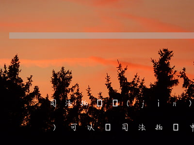 司法拍賣進(jìn)行中棄權(quán)可以嗎(司法拍賣中止)