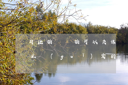司法拍賣開拍可以交保證金嗎(拍賣保證金怎么規(guī)定的)