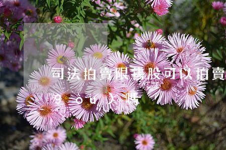司法拍賣限售股可以拍賣嗎(司法拍賣限購(gòu)嗎)