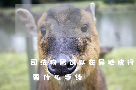 司法拘留可以在异地执行吗(异地司法拘留需要什么手续)