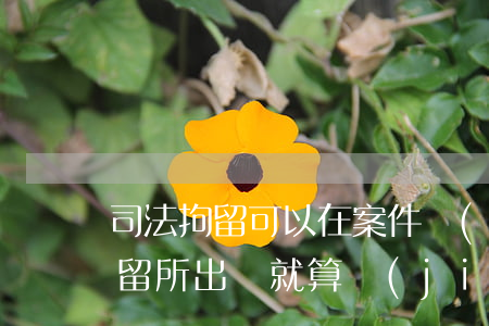 司法拘留可以在案件結(jié)案后嗎(拘留所出來就算結(jié)案了嗎)