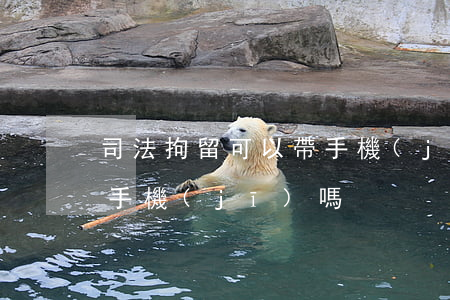 司法拘留可以帶手機(jī)嗎(拘留所能帶手機(jī)嗎)