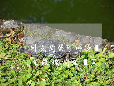 司法拘留可以廷長(zhǎng)嗎(司法拘留最短拘留幾天)