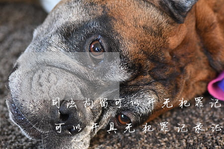 司法拘留可以开无犯罪记录证明吗(司法拘留可以开具无犯罪记录证明吗)