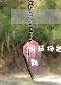 司法拘留可以送信嗎(寫信給拘留所的人能收到嗎)