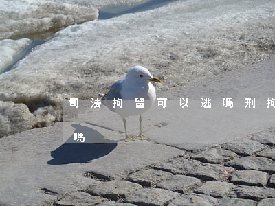 司法拘留可以逃嗎(刑拘在逃嚴(yán)重嗎)