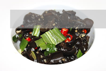 司法拘留可以開(kāi)無(wú)犯罪證明嗎(拘役過(guò)可以開(kāi)無(wú)犯罪證明嗎)