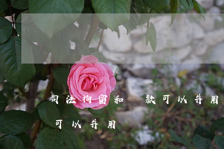 司法拘留和罰款可以并用嗎(行政拘留和罰款可以并用嗎)