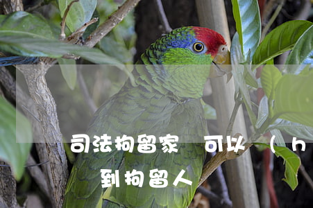 司法拘留家屬可以會(huì)見嗎(家屬能見到拘留人員嗎)
