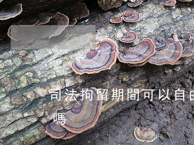司法拘留期間可以自由嗎(拘留所能提前釋放嗎)