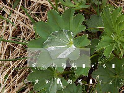 司法拘留期間可以轉(zhuǎn)為刑事拘留嗎(拘留轉(zhuǎn)刑拘一定會(huì)判刑嗎)