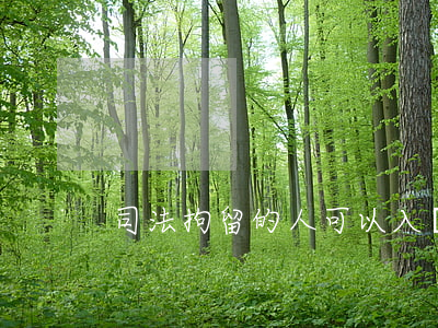 司法拘留的人可以入黨嗎