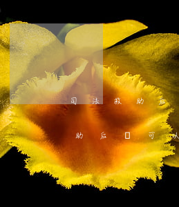 司法救助后還可以執(zhí)行嗎(司法救助后還可以執(zhí)行嗎)