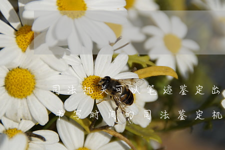司法机关可以笔迹鉴定出时间吗(能够鉴笔迹书写时间的司法鉴定机构)