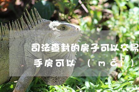 司法查封的房子可以交易嗎(被法院查封的二手房可以買(mǎi)嗎?)