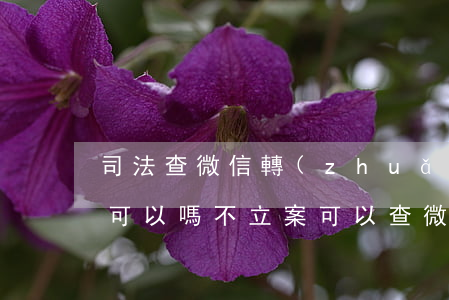 司法查微信轉(zhuǎn)賬記錄不同意可以嗎(不立案可以查微信轉(zhuǎn)賬記錄)