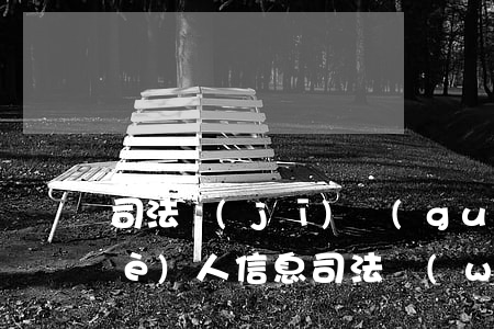 司法機(jī)關(guān)查詢個(gè)人信息(司法網(wǎng)個(gè)人信息查詢)