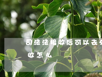 司法法接收后可以去外省嗎(外地司法局不接收怎么辦)