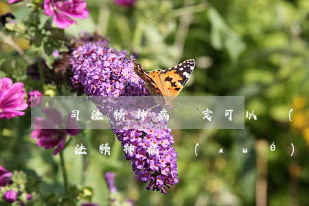 司法精神病鑒定可以個(gè)人委托嗎(司法精神病學(xué)鑒定)