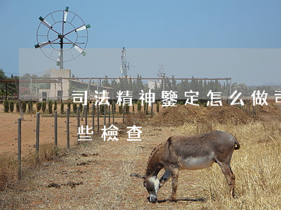 司法精神鑒定怎么做(司法精神鑒定需要做哪些檢查)