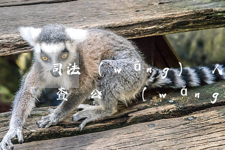 司法網(wǎng)個人信息查詢(司法信息查詢公開網(wǎng))