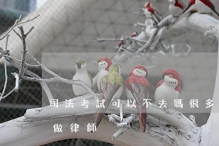 司法考試可以不去嗎(很多人過了司法考試不做律師)