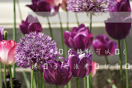 司法考試合格就可以當(dāng)律師嗎(考過了司法考試但不當(dāng)律師)