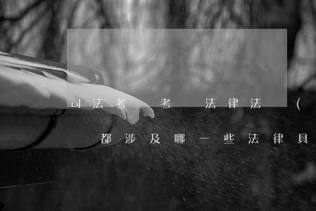 司法考試考試法律法規(guī)(司法考試都涉及哪一些法律,具體到有法律條文的,比如《中華人民共)
