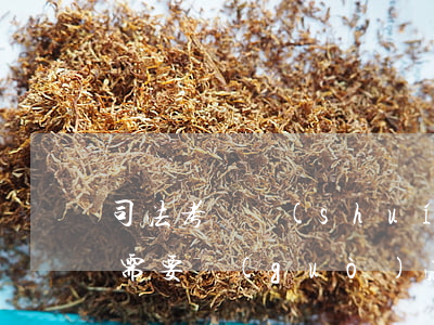 司法考試誰(shuí)可以考嗎(考司法局需要過(guò)法考嗎)