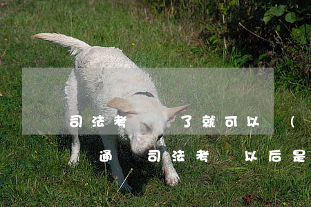 司法考試過了就可以當(dāng)律師了嗎(通過司法考試以后是不是就能當(dāng)律師了)