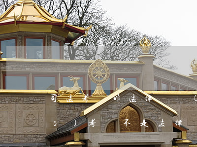 司法考試非法律專業(yè)可以報(bào)考嗎(不是法律專業(yè)能考司法考試嗎)