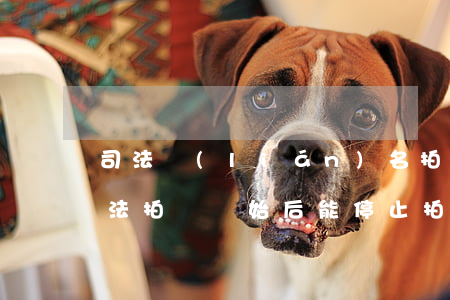 司法聯(lián)名拍賣后可以取消嗎(司法拍賣開始后能停止拍賣嗎)