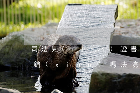 司法見(jiàn)證書(shū)可以撤銷(xiāo)嗎(法院是否有權(quán)撤銷(xiāo)公證書(shū))