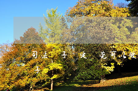 司法親子鑒定東莞可以做嗎(東莞怎樣鑒定親子)
