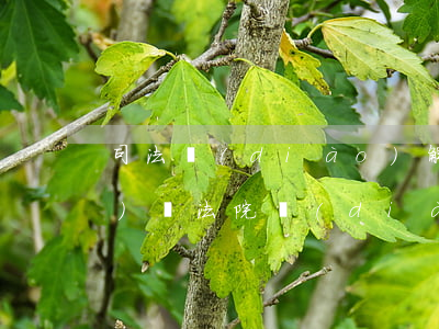 司法調(diào)解可以作為證據(jù)嗎(法院調(diào)解錄音可以作為證據(jù)嗎)