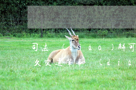 司法調(diào)解可以翻案嗎時間是多久(交通肇事調(diào)解后多久不能翻案了)